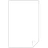 imageExact Vellum Bristol 11quot x 17quot 67 lb145 gsm White 94 Brightness 250 Sheets 80213